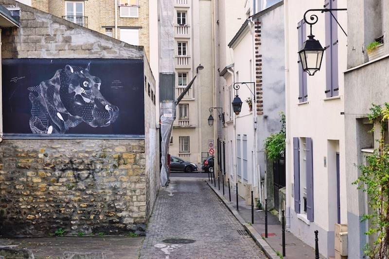 Come and explore the hidden gems of Paris' 13th arrondissement, there are plenty of picturesque alleyways and impressive murals. You're sure to discover the unexpected with this tour!