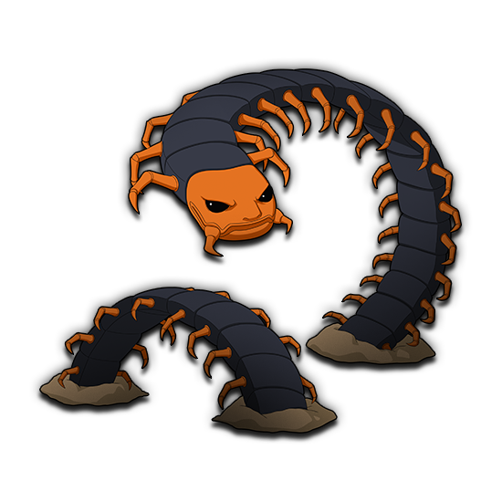 Centipede