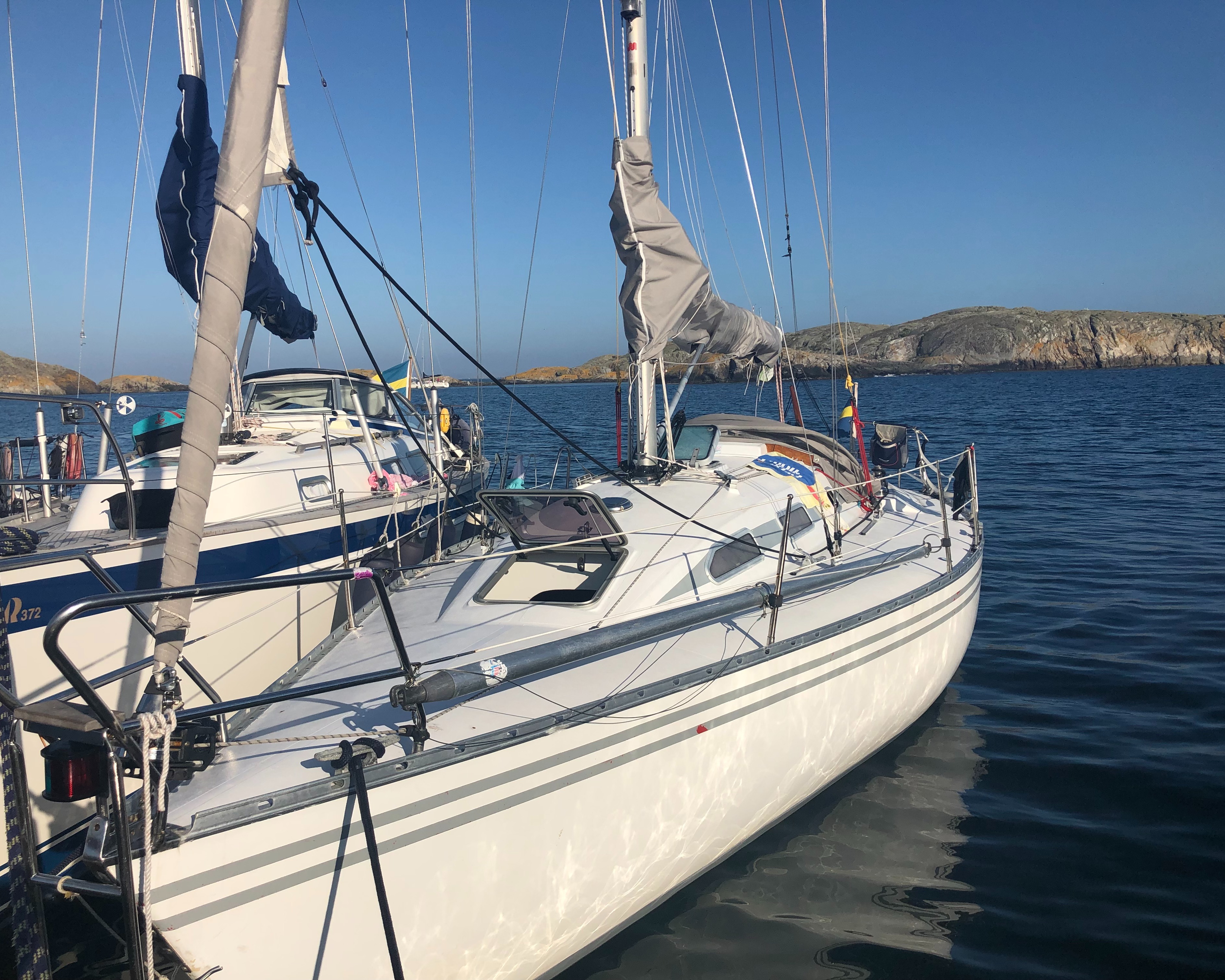 Mani 36