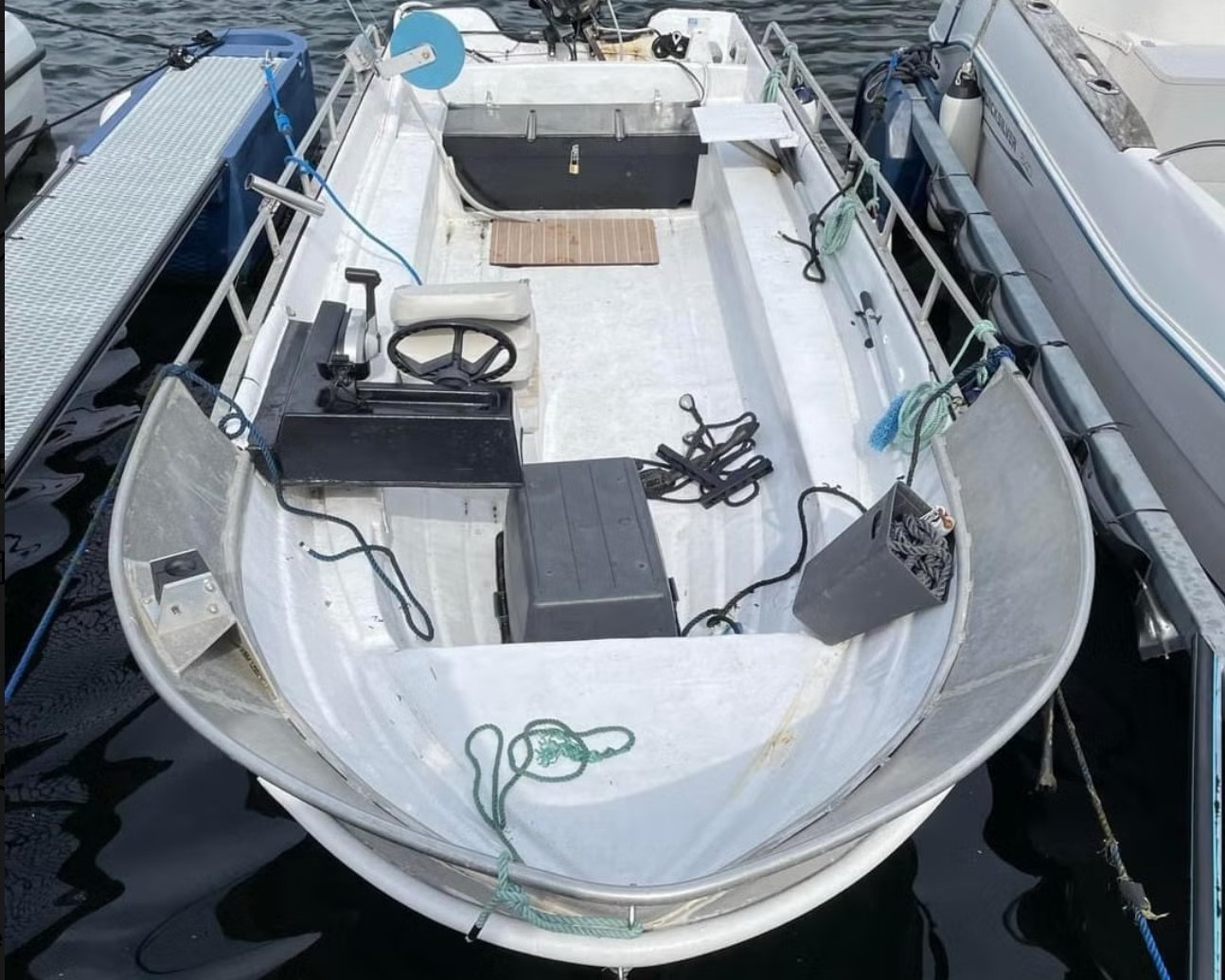 RANA 17