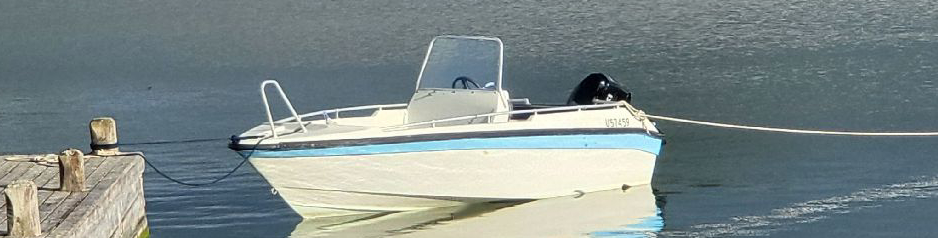 Flipper 535 Sunfish