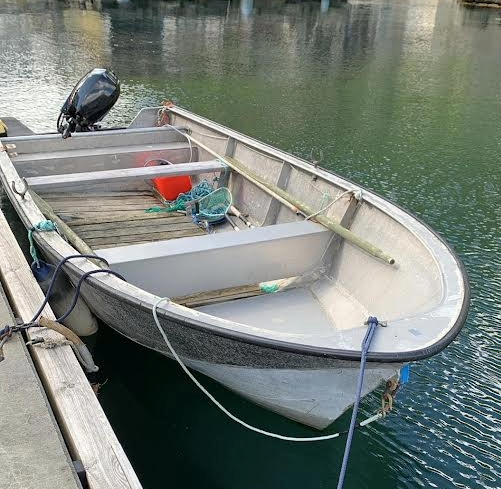 Aluminiumsbåt til fisking, photo 1
