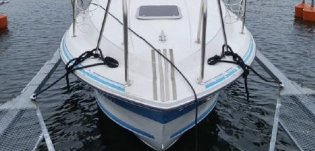 Wellcraft Aruba