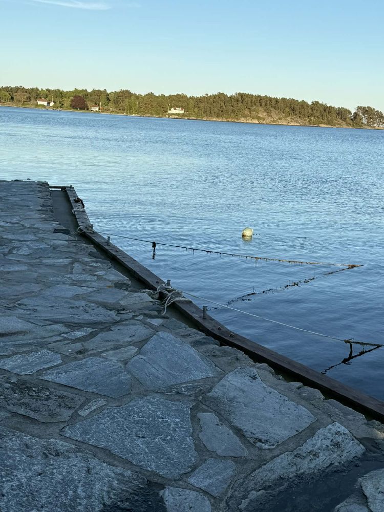 Ytre Gjeruldsnabb, photo 2