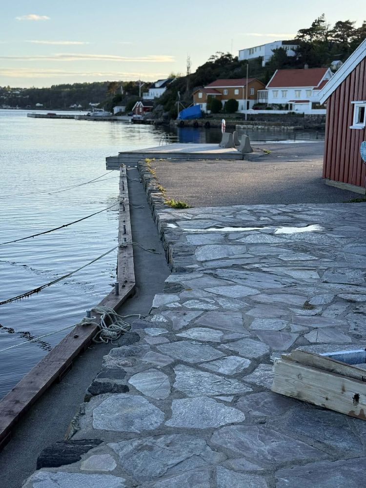 Ytre Gjeruldsnabb, photo 3