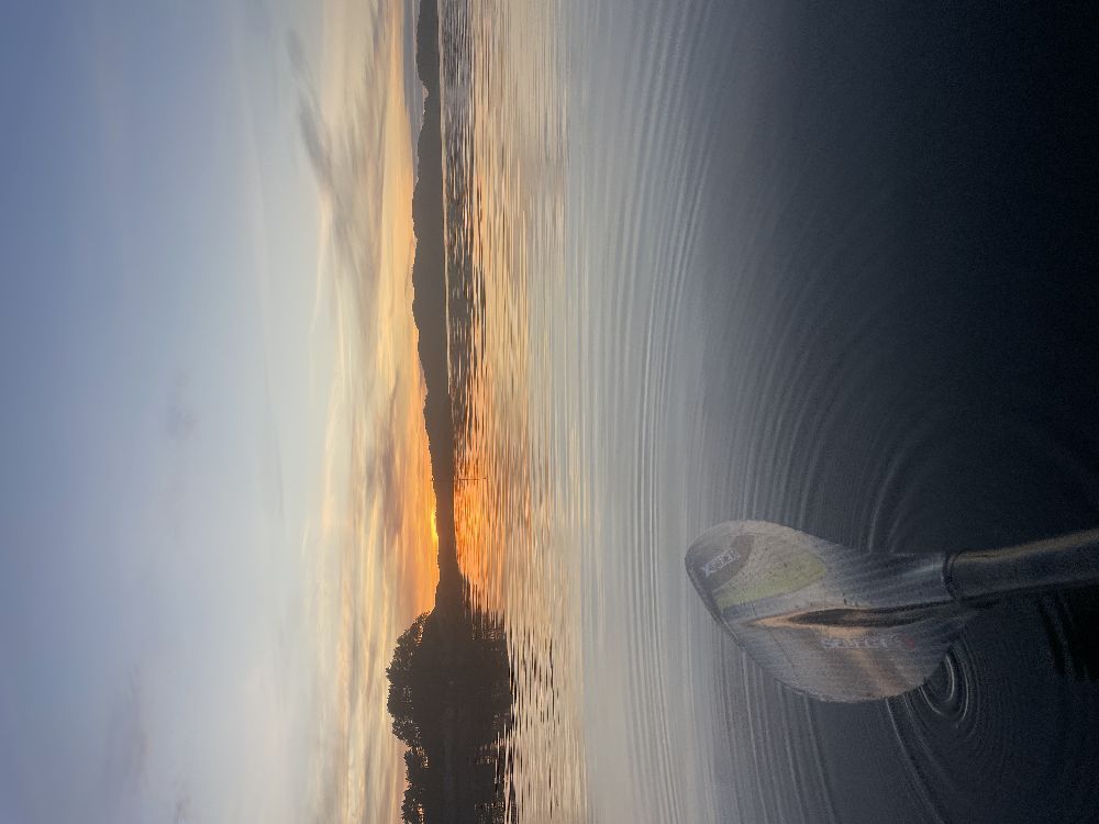 Seabird Expedition, photo 3