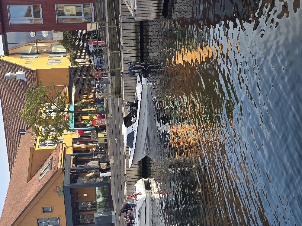Fjordling 17, photo 5
