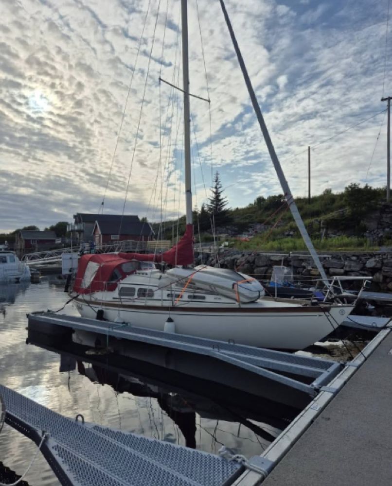 Belle 31, photo 3