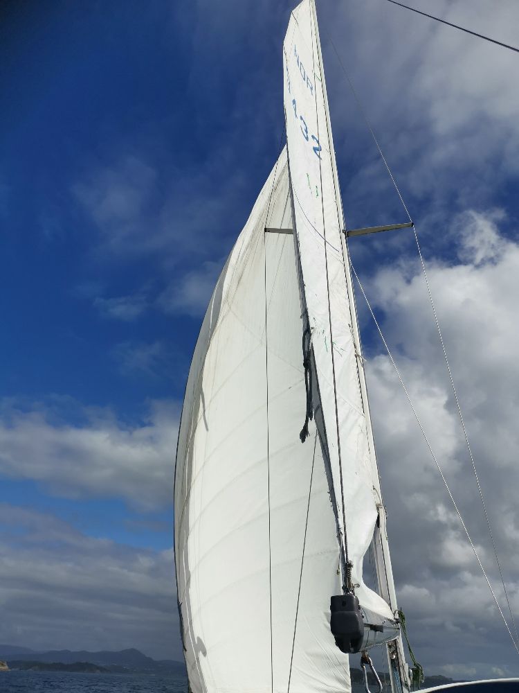 Maxi 84, photo 2