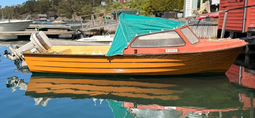 Rana 17 Fisk