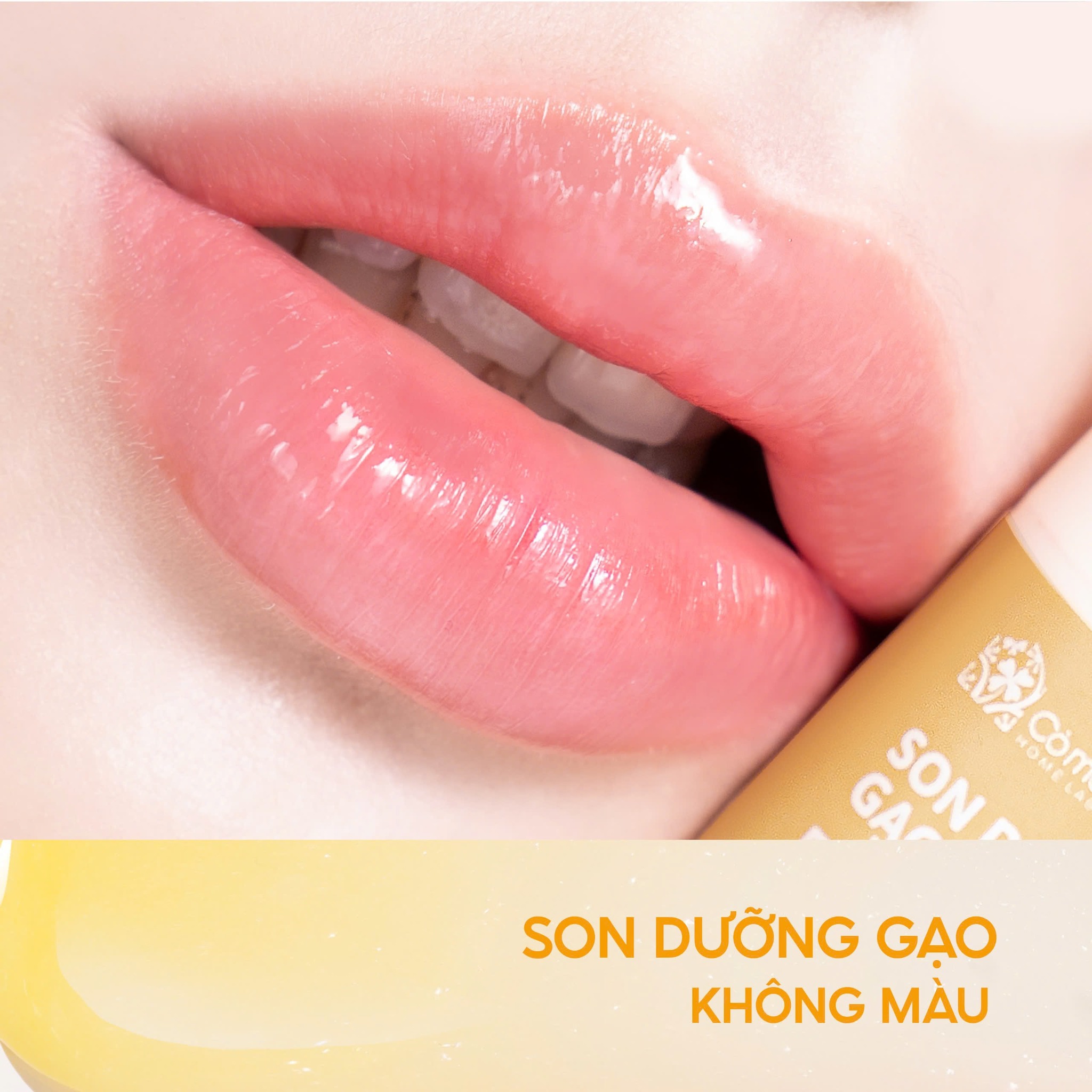 Thông tin sản phẩm son dưỡng gạo Cỏ Mềm