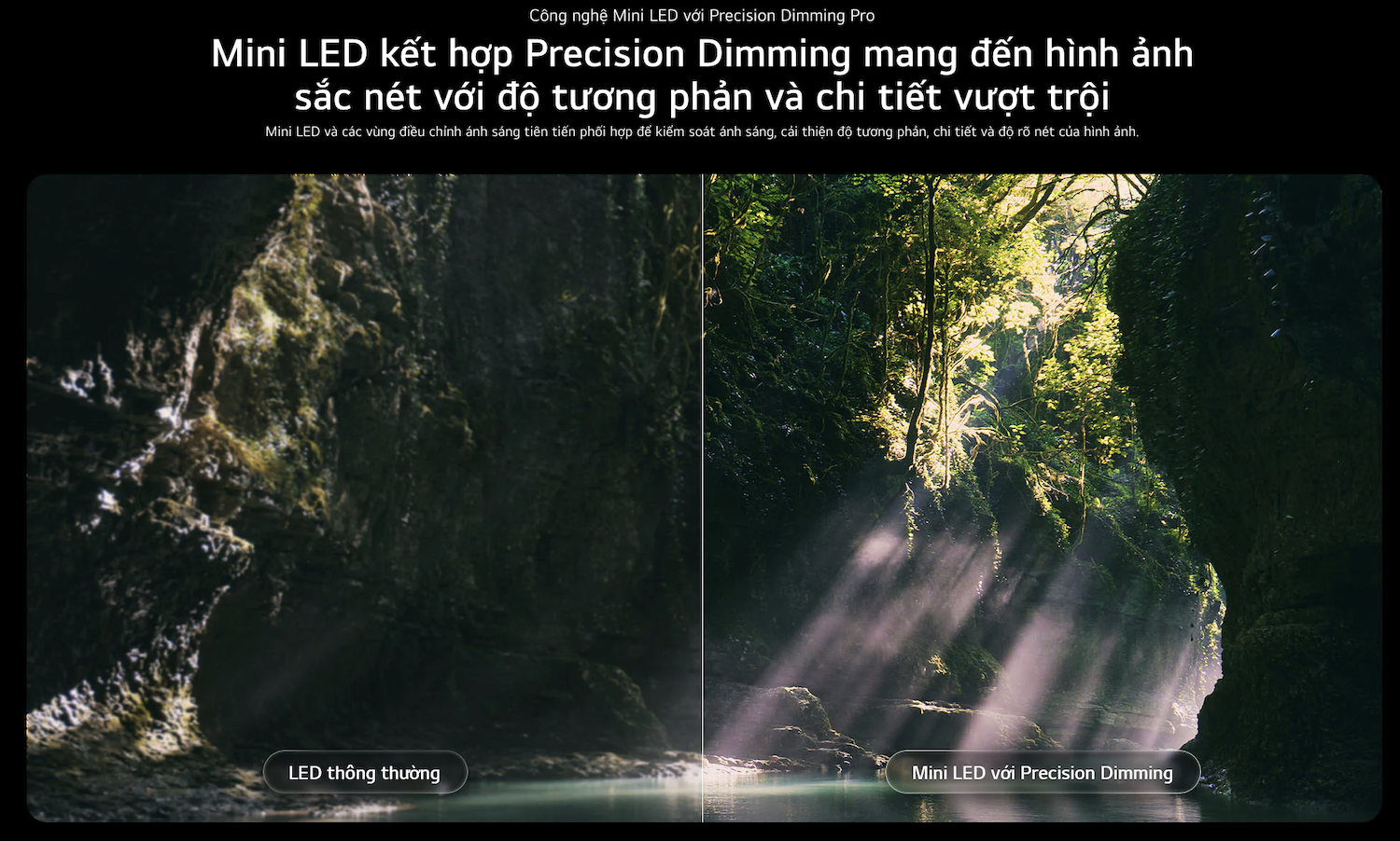 images upload woo%2F3863e8134a14339676f96bad9359f56d