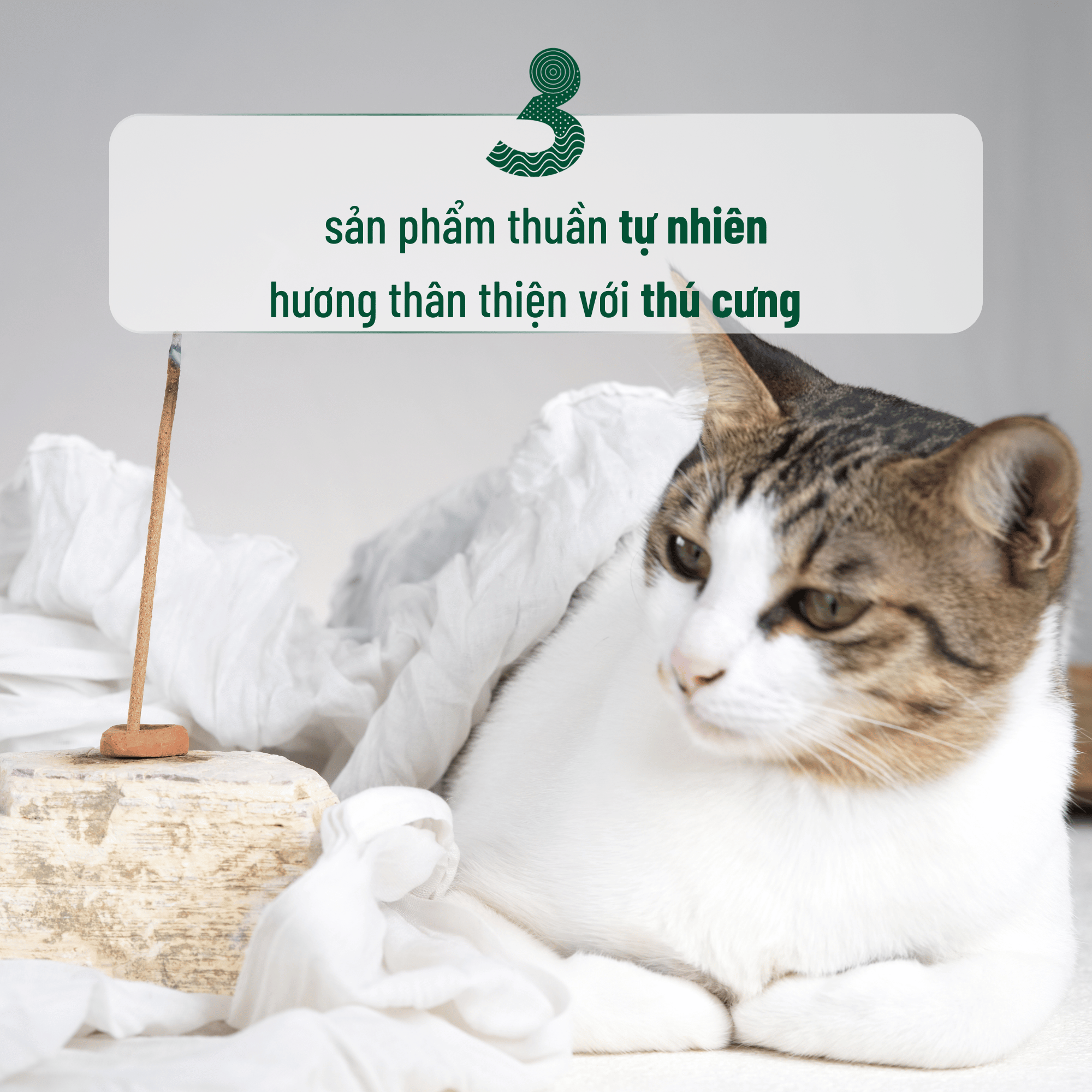 Đặt nhang thủ công tự nhiên 3 Lành chính hãng giao toàn quốc