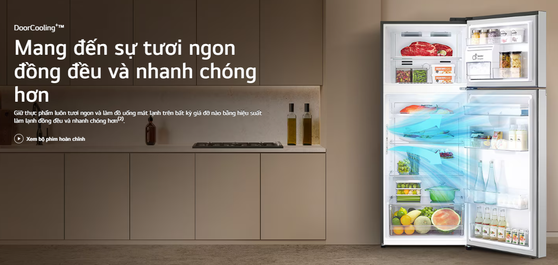 Tủ lạnh LG ngăn đá trên Smart Inverter™ 332L màu đen LTD33BLM 10