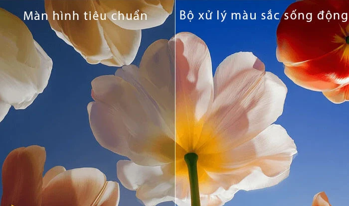 images upload woo%2F95ecdb51c14dcc9e8acd5a4ed2240a92