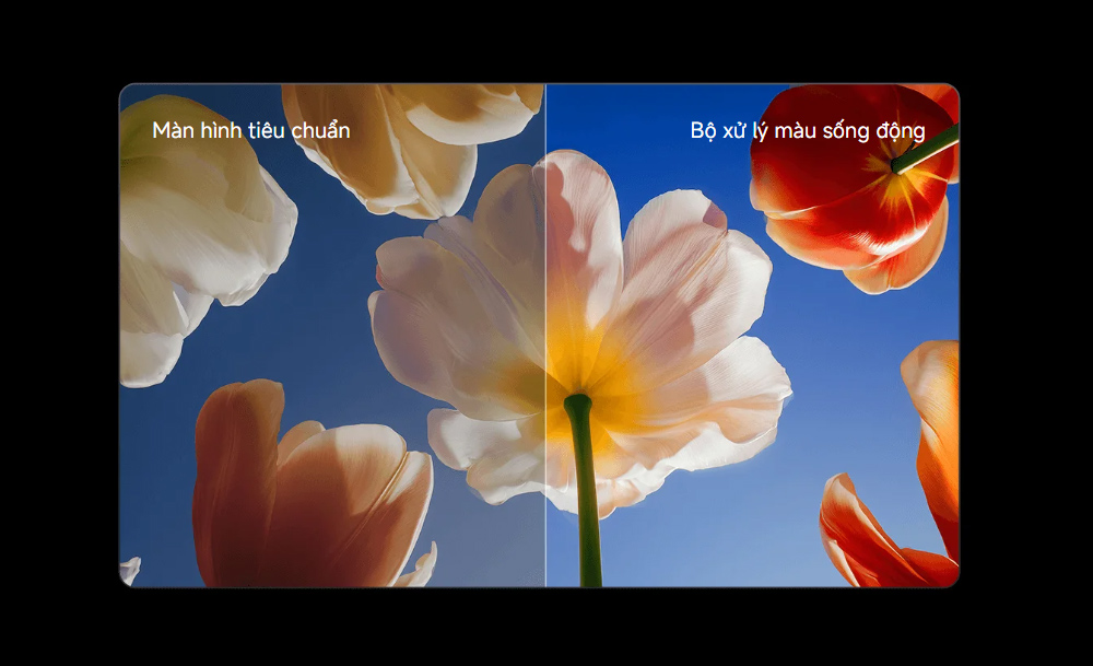 images upload woo%2F9fd216b44ddfb9f06ca99db154031bb3