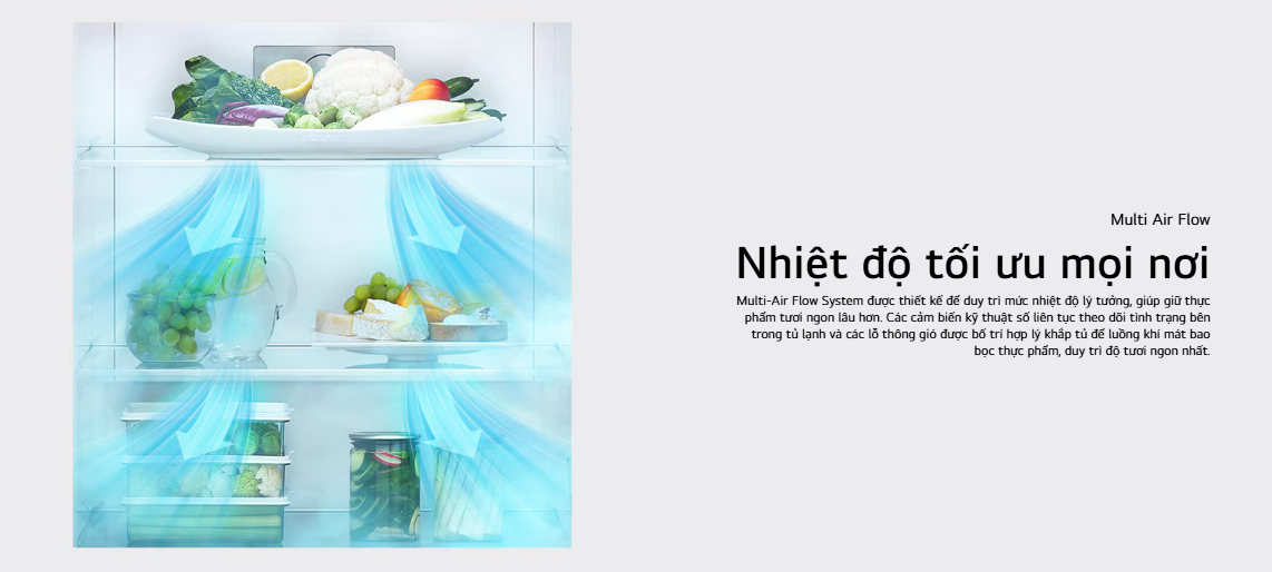 Tủ lạnh LG Inverter ngăn đá trên 266L màu đen LTB26BLM - Model 2025 11