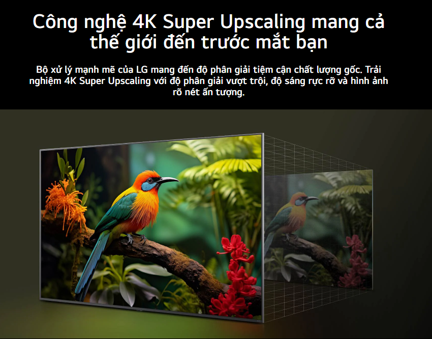 Smart QNED Tivi LG 55 inch 4K 55QNED80ASA - Model 2025 9