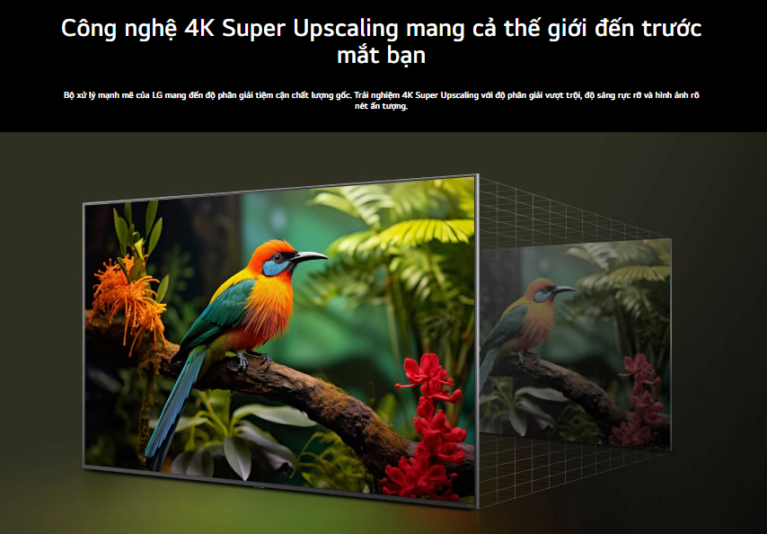 Smart NanoCell Tivi LG AI 4K 50 inch 50NANO80ASA - Model 2025 14