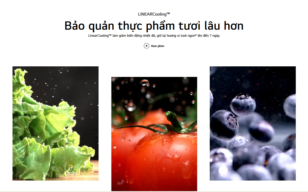 Tủ lạnh LG Inverter ngăn đá trên 266L màu đen LTB26BLM - Model 2025 10