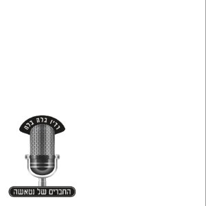 שברי את הטלוויזיה