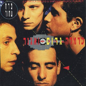 פרפרי תעתוע