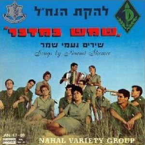 חורשת האקליפטוס
