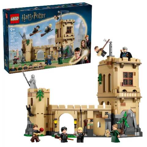 LEGO 76447 - Hogwarts Castle: Flying Lessons thumbnail 1