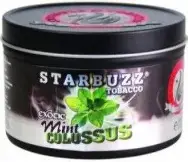 Starbuzz Mint Classic Crisp Cool Herbal Flavour 250g