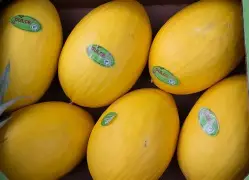 Starwalker Honeydew Ananas 1KG Melon Pineapple Herbal Blend