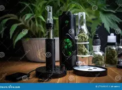Starwalker Zealous Kiwi 250G Bold Water Pipe Herbal Blend