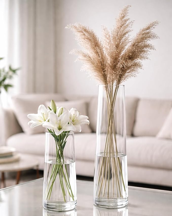 Homesake® Glass Vase for Plants Flowers (Transparent, 29 cm X 8 cm) - Living Room Glass Vase Pot for Water Plants Home Décor Dining Table Decoration Bedroom Hall House Warming Gift, Stem (Set of Vase)