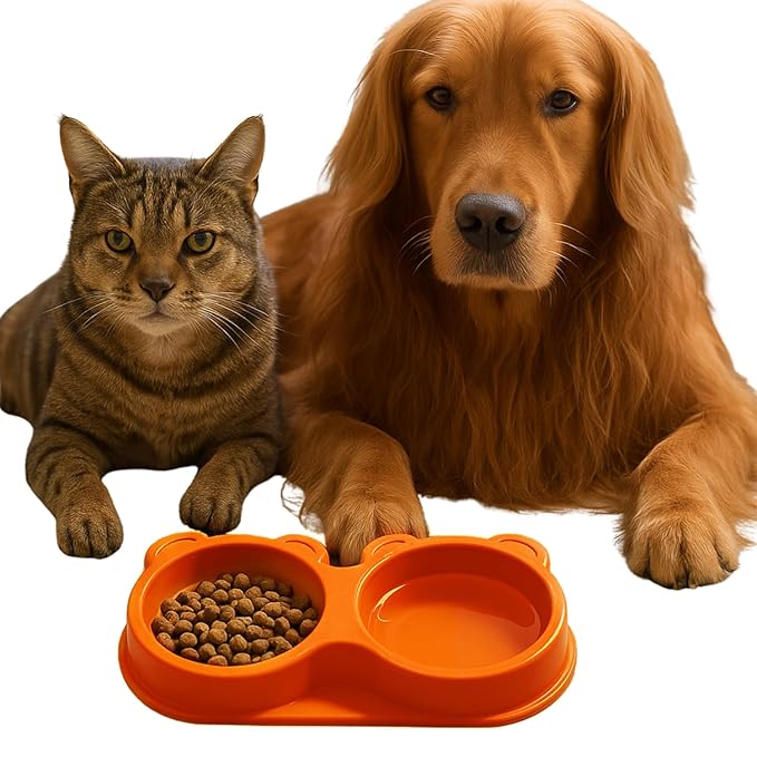 Dog Bowl 2 in 1 | Teddy Bear Shaped Cute Feeding Bowl | Dog Cat Feeder for Food and Water | Durable Easy to Clean Dish Non Toxic for Small and Medium Pets (Orange)