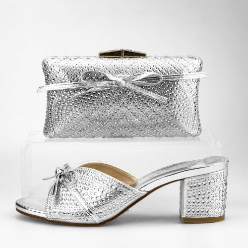 Silver Women Shoe Bag Set 