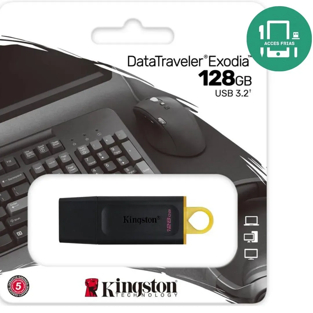 PEN DRIVE KINGSTONEA 128GB