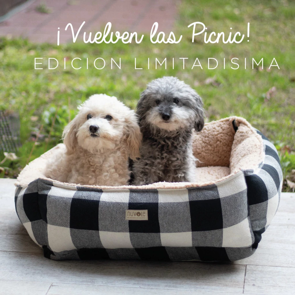 ⭐️ Edición Limitada ⭐️ Camita Terra Picnic ⭐️ 50x50