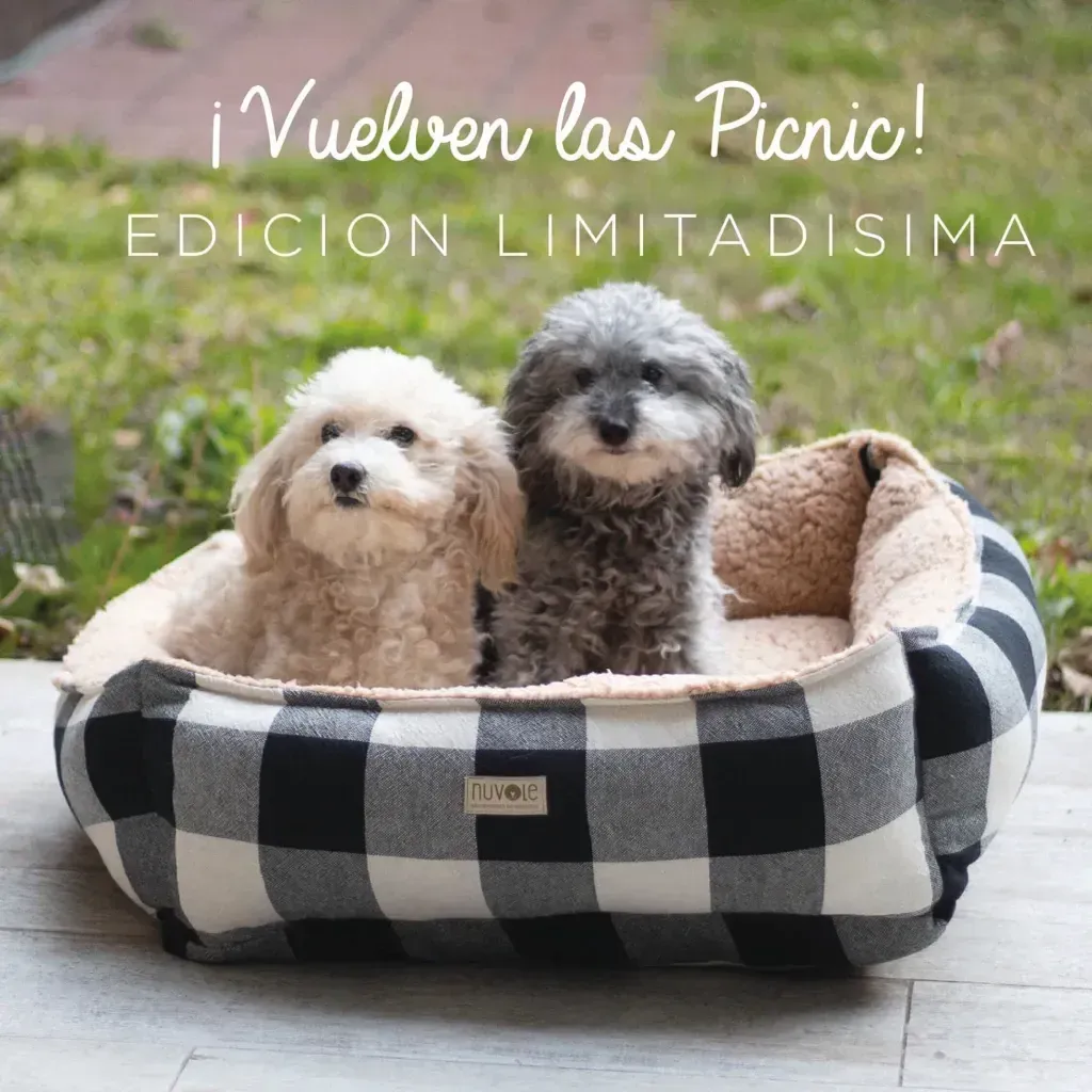 ⭐️ Edición Limitada ⭐️ Camita Terra Picnic ⭐️ 50x50