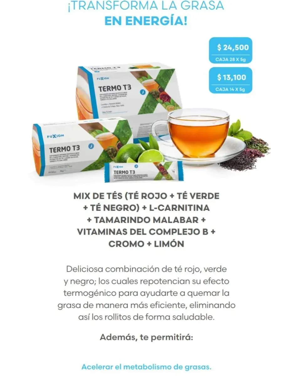 TE TERMO T3