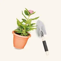 PLANTAS Y JARDINERIA