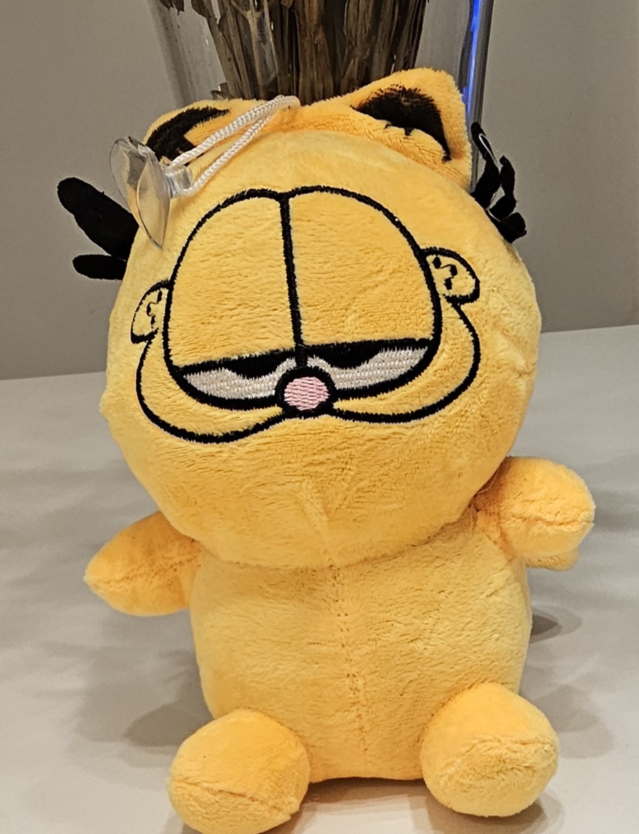 Garfiel