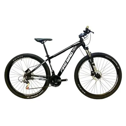 BICICLETA FIREBIRD R29 21v Aluminio 