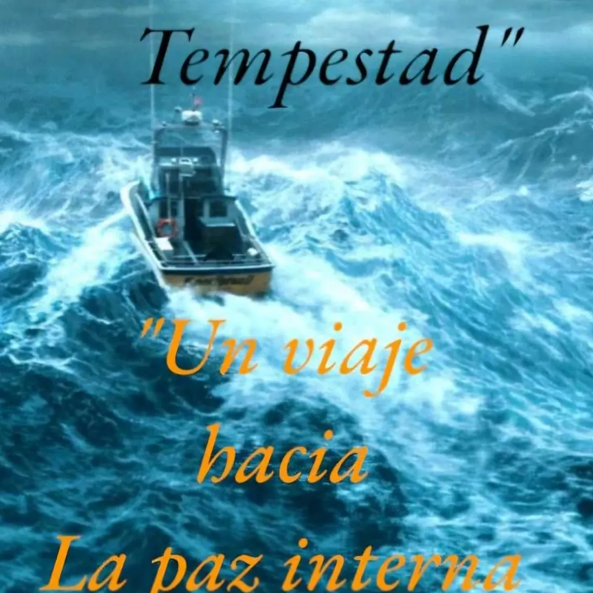 Libro VENCER LA TEMPESTAD 