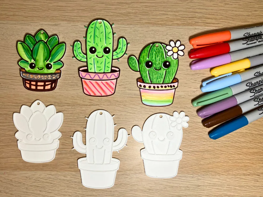Color Again - Cactus (Pack Of 3)