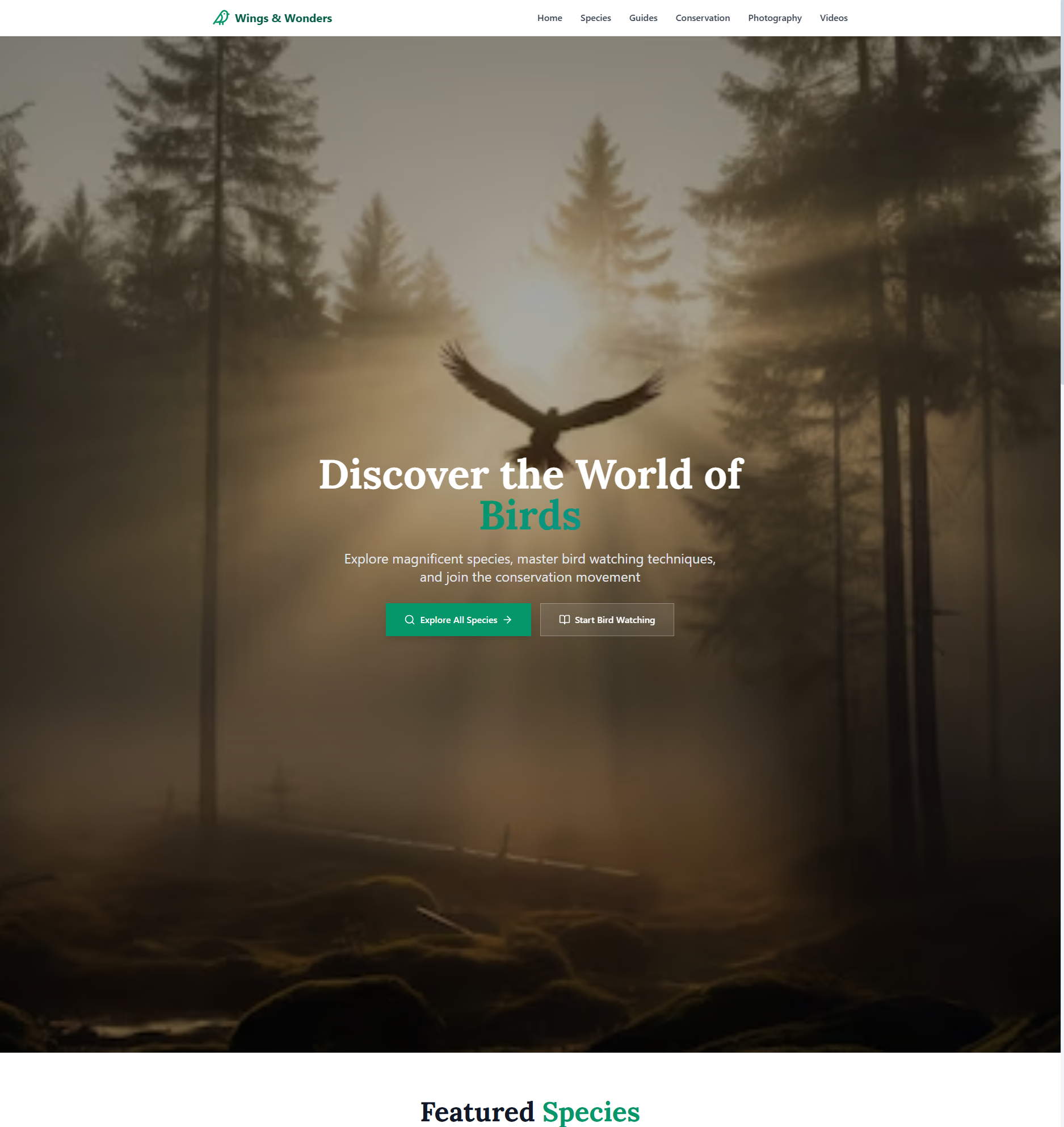 Website-BirdWatching