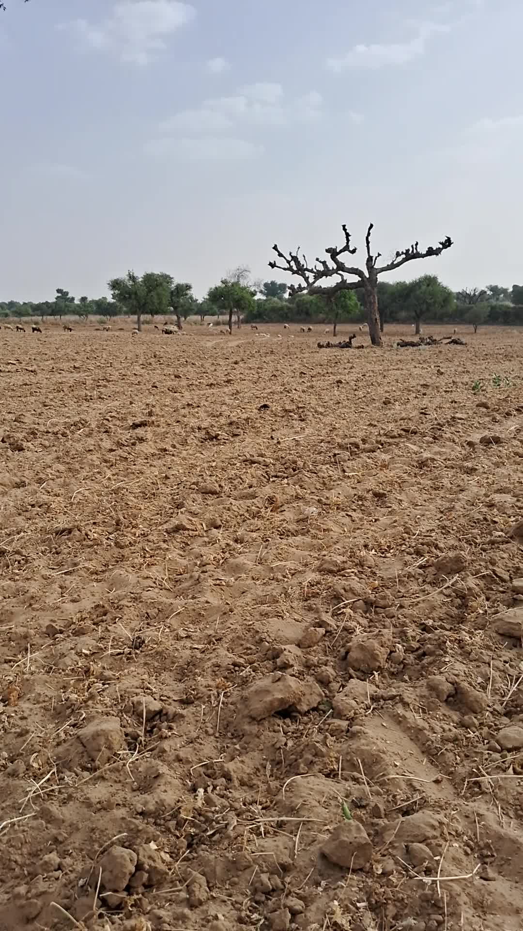 Land of rajasthan