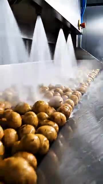 #OddlySatisfying #ASMR #FoodProduction #Manufacturing #AlooNaan