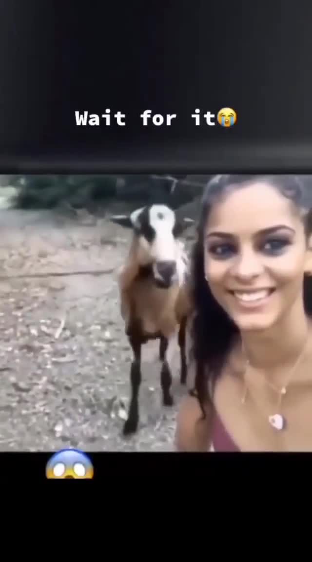 Funny 🤣🤣