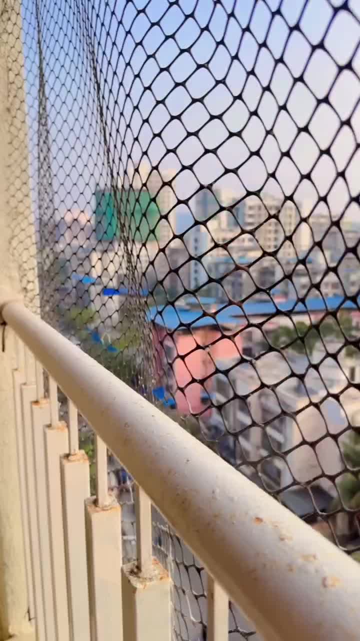 Bhojpuri