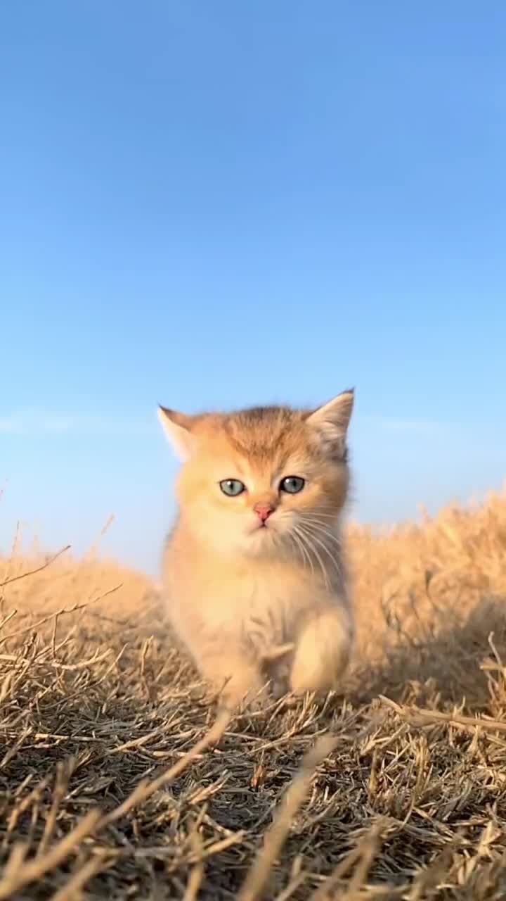 Ohhh Soooo Cute 🥰🥰🥰🥰🥰
