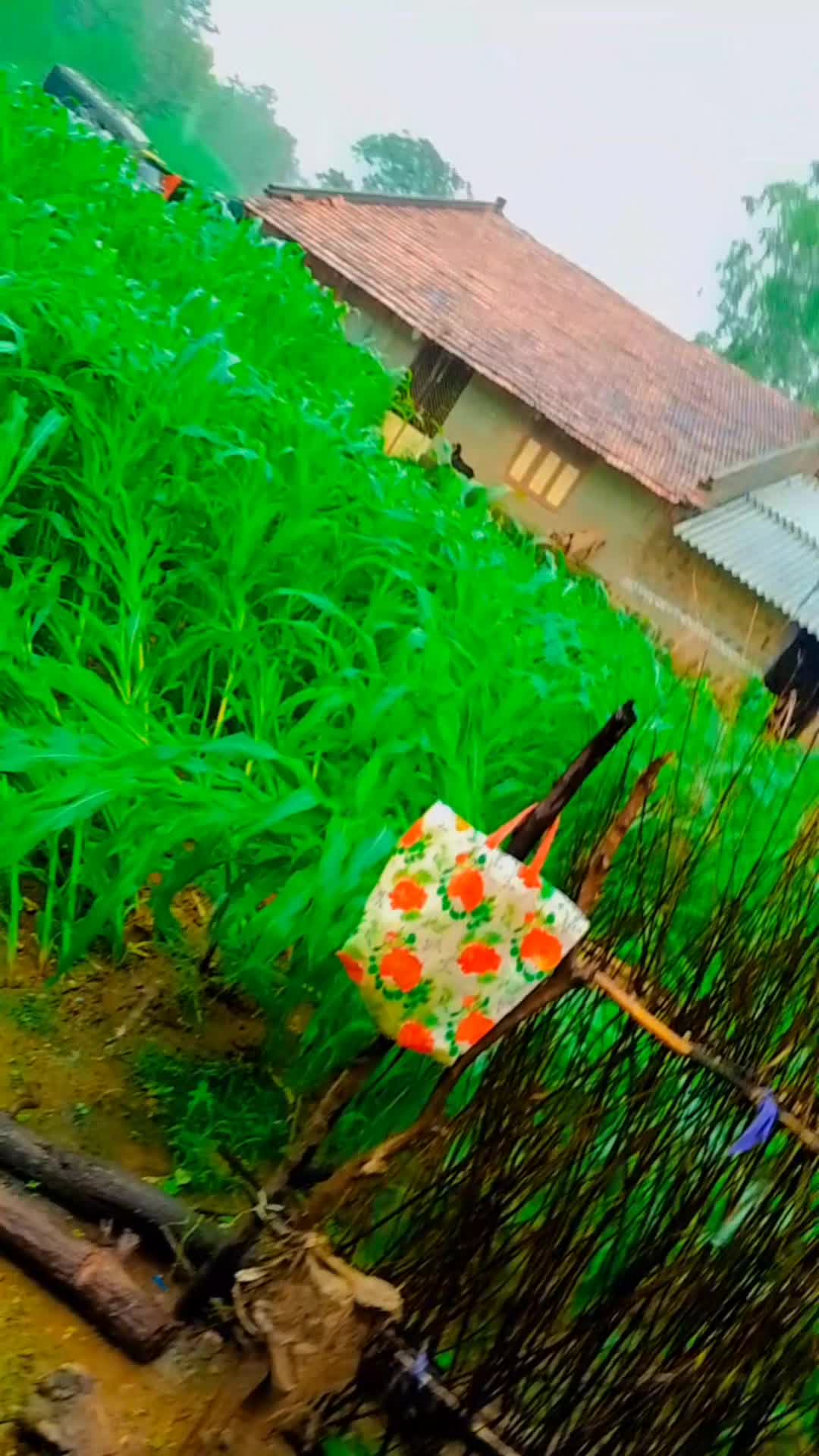 Kaisa laga hamara gaon 🌨️🌧️🌱🌲🏞️😄